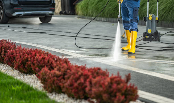 Best Pool Deck Cleaning  in Longview, WA